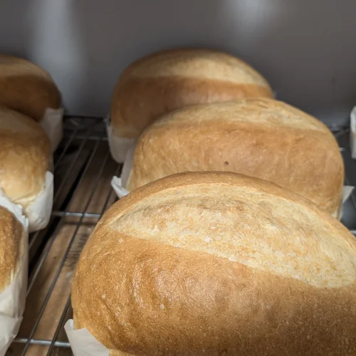 County Bread Reg
