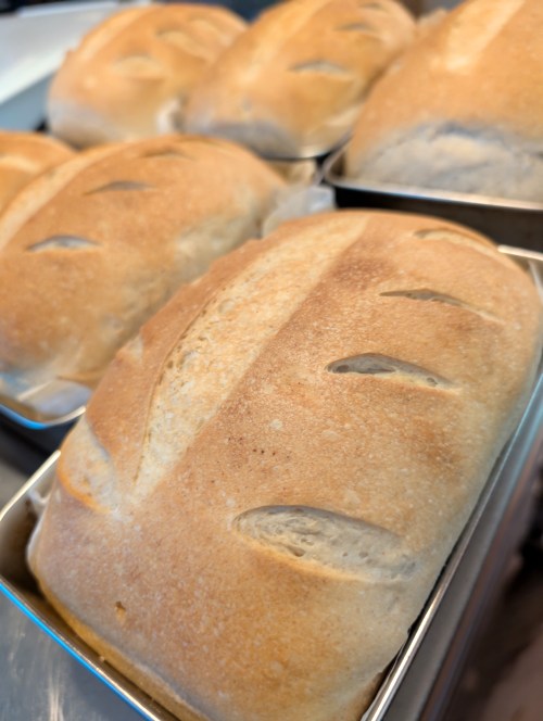 Spelt Sourdough